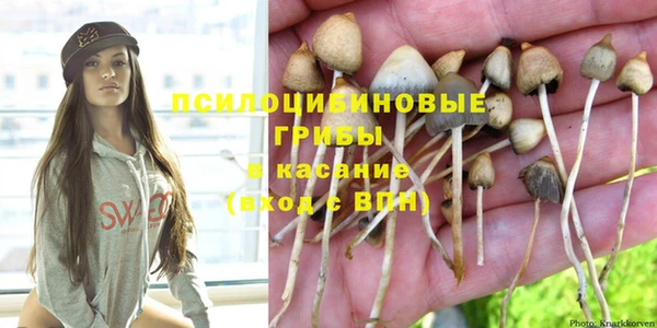 ГАЛЛЮЦИНОГЕННЫЕ ГРИБЫ Абдулино