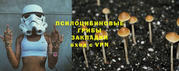 ГАЛЛЮЦИНОГЕННЫЕ ГРИБЫ Абдулино
