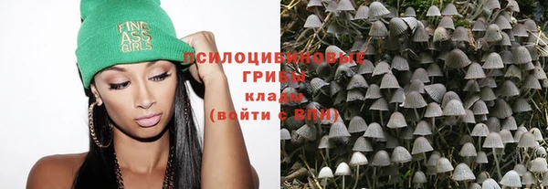 ГАЛЛЮЦИНОГЕННЫЕ ГРИБЫ Абдулино