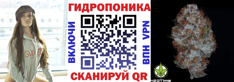 Шишки марихуана тримм  наркошоп  Ржев 